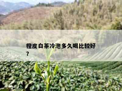 橙皮白茶冷泡多久喝比较好？