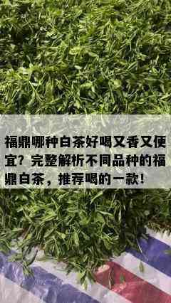 福鼎哪种白茶好喝又香又便宜？完整解析不同品种的福鼎白茶，推荐喝的一款！