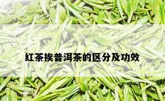 红茶挨普洱茶的区分及功效