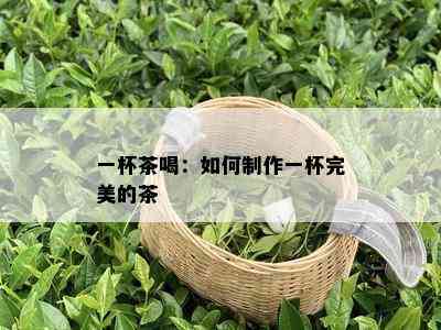 一杯茶喝：如何制作一杯完美的茶