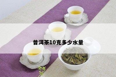 普洱茶10克多少水量