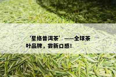 ‘星络普洱茶’——全球茶叶品牌，尝新口感！