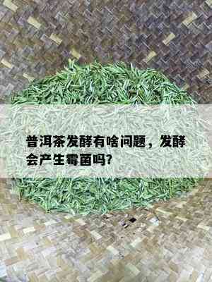 普洱茶发酵有啥问题，发酵会产生霉菌吗？