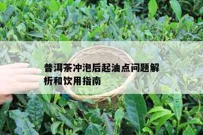 普洱茶冲泡后起油点问题解析和饮用指南