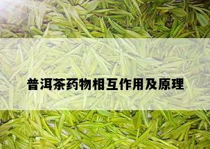 普洱茶物相互作用及原理