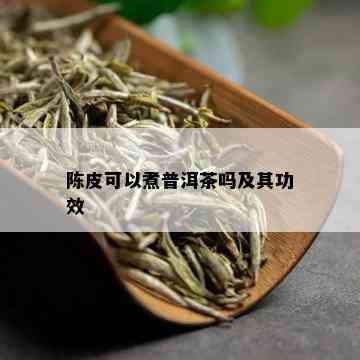 陈皮可以煮普洱茶吗及其功效