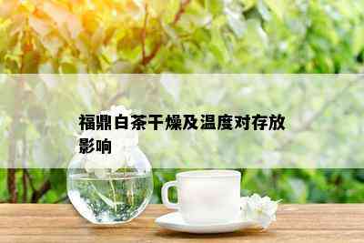 福鼎白茶干燥及温度对存放影响