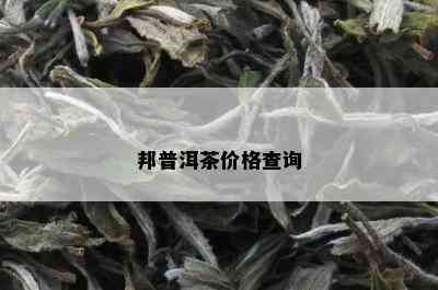 邦普洱茶价格查询