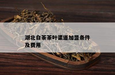 湖北白茶茶叶渠道加盟条件及费用