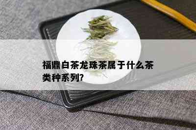 福鼎白茶龙珠茶属于什么茶类种系列？