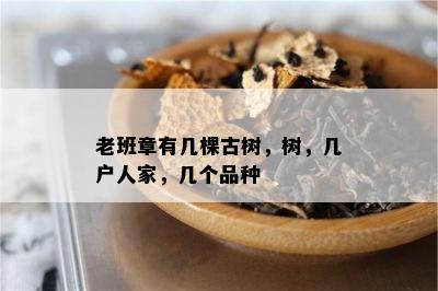 老班章有几棵古树，树，几户人家，几个品种