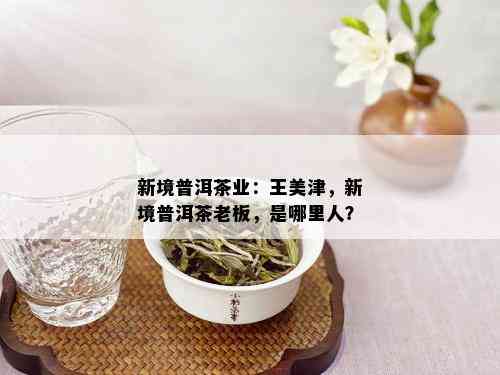 新境普洱茶业：王美津，新境普洱茶老板，是哪里人？