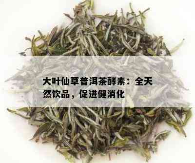 大叶仙草普洱茶酵素：全天然饮品，促进健消化