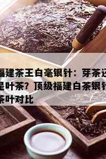 福建茶王白毫银针：芽茶还是叶茶？顶级福建白茶银针茶叶对比