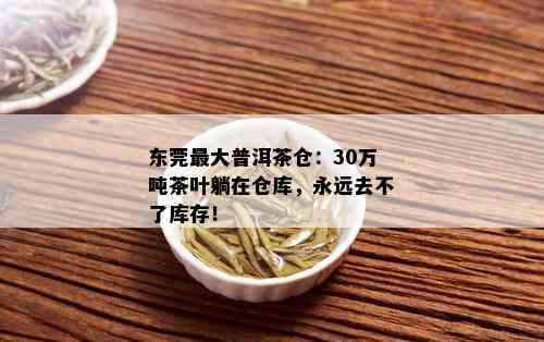 东莞更大普洱茶仓：30万吨茶叶躺在仓库，永远去不了库存！