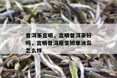 普洱茶宫明，宫明普洱茶好吗，宫明普洱原生班章冰岛怎么样