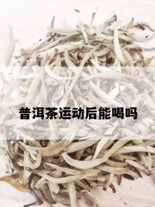 普洱茶运动后能喝吗