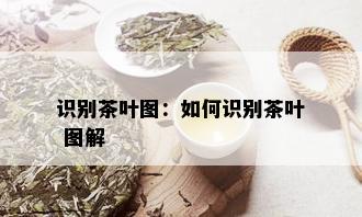 识别茶叶图：如何识别茶叶 图解