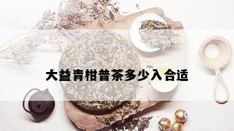 大益青柑普茶多少入合适