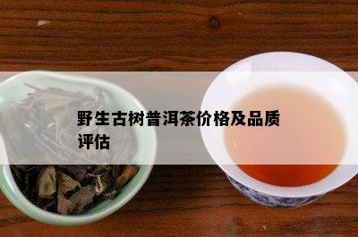 野生古树普洱茶价格及品质评估