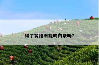 得了肾结石能喝白茶吗？