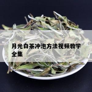 月光白茶冲泡方法视频教学全集