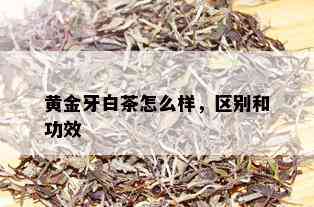 黄金牙白茶怎么样，区别和功效