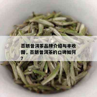 百朗普洱茶品牌介绍与丰收图，百朗普洱茶的口碑如何？