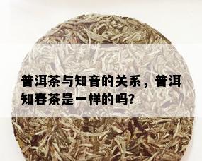 普洱茶与知音的关系，普洱知春茶是一样的吗？