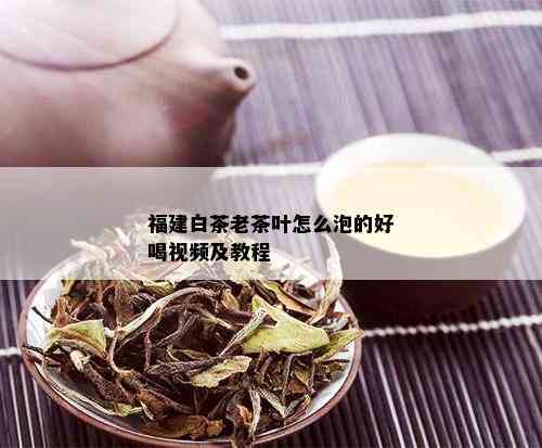 福建白茶老茶叶怎么泡的好喝视频及教程