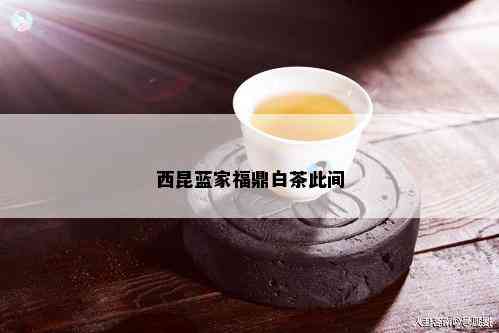 西昆蓝家福鼎白茶此间