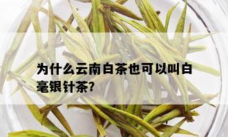 为什么云南白茶也可以叫白毫银针茶？