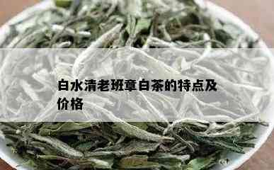 白水清老班章白茶的特点及价格