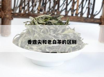 香鼎尖和老白茶的区别