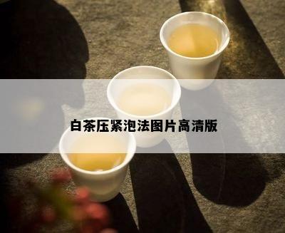 白茶压紧泡法图片高清版