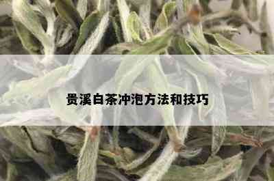 贵溪白茶冲泡方法和技巧