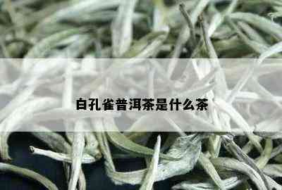 白孔雀普洱茶是什么茶