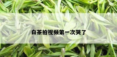 白茶拍视频之一次哭了