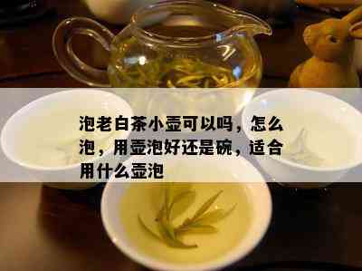 泡老白茶小壶可以吗，怎么泡，用壶泡好还是碗，适合用什么壶泡