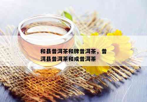 和县普洱茶和牌普洱茶，普洱县普洱茶和成普洱茶