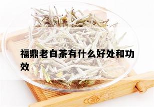 福鼎老白茶有什么好处和功效