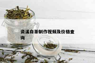 资溪白茶制作视频及价格查询