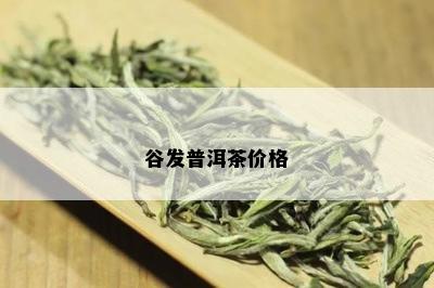 谷发普洱茶价格