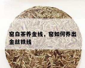 窑白茶养金线，窑如何养出金丝铁线