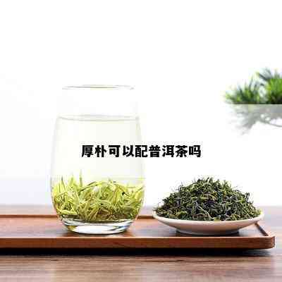 厚朴可以配普洱茶吗