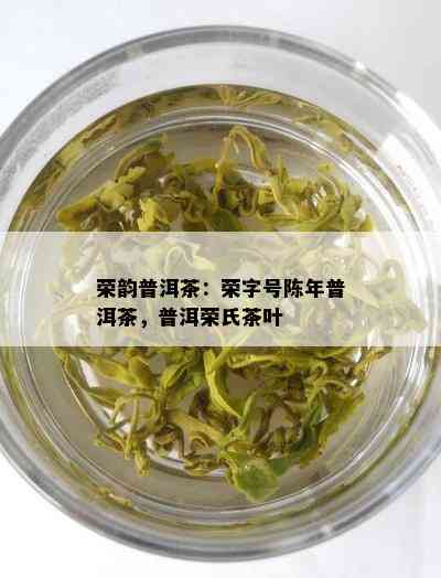 荣韵普洱茶：荣字号陈年普洱茶，普洱荣氏茶叶