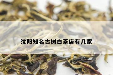 沈阳知名古树白茶店有几家