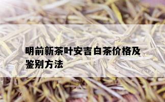 明前新茶叶安吉白茶价格及鉴别方法