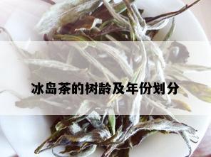 冰岛茶的树龄及年份划分