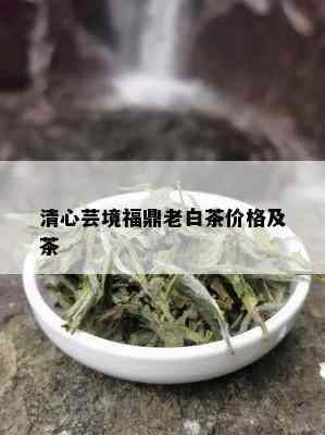 清心芸境福鼎老白茶价格及茶